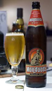 Mongoose craft lager 12 X 500ML BOTTLES 4.5%